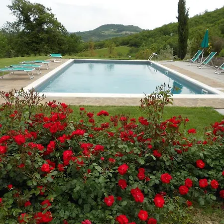 Agriturismo Erta * Casole dʼElsa