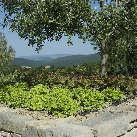 Agriturismo Erta *