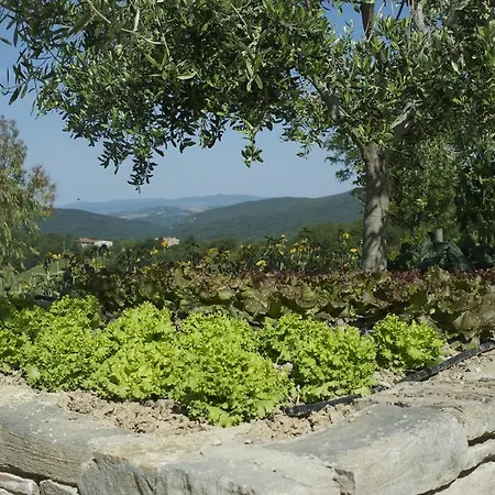 Agriturismo Erta *