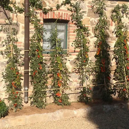 Agriturismo Erta Casole dʼElsa