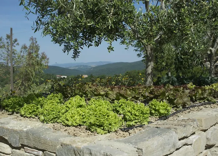 Agriturismo Erta *