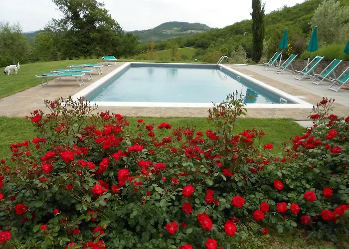 Agriturismo Erta * Casole dʼElsa
