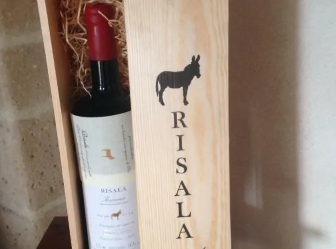 Agriturismo Erta בית חווה Casole dʼElsa