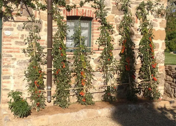 Agriturismo Erta Casole dʼElsa
