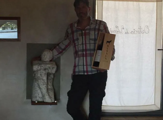 Agriturismo Erta בית חווה Casole dʼElsa